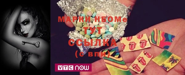 хмурый Алзамай