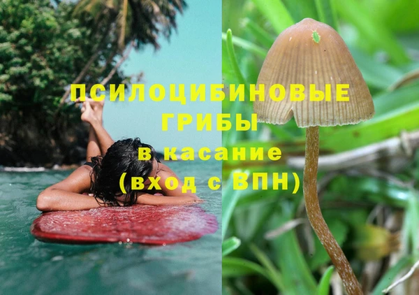 хмурый Алзамай