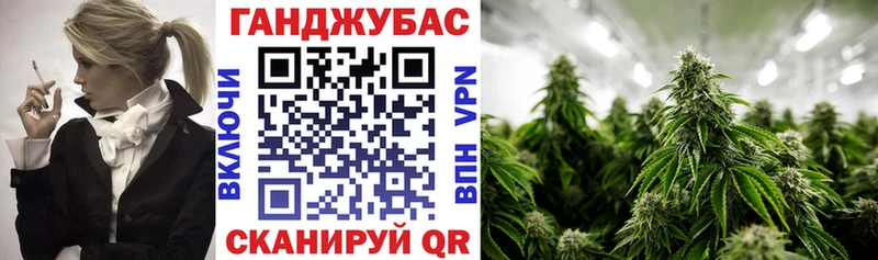Марихуана сатива  Зерноград 